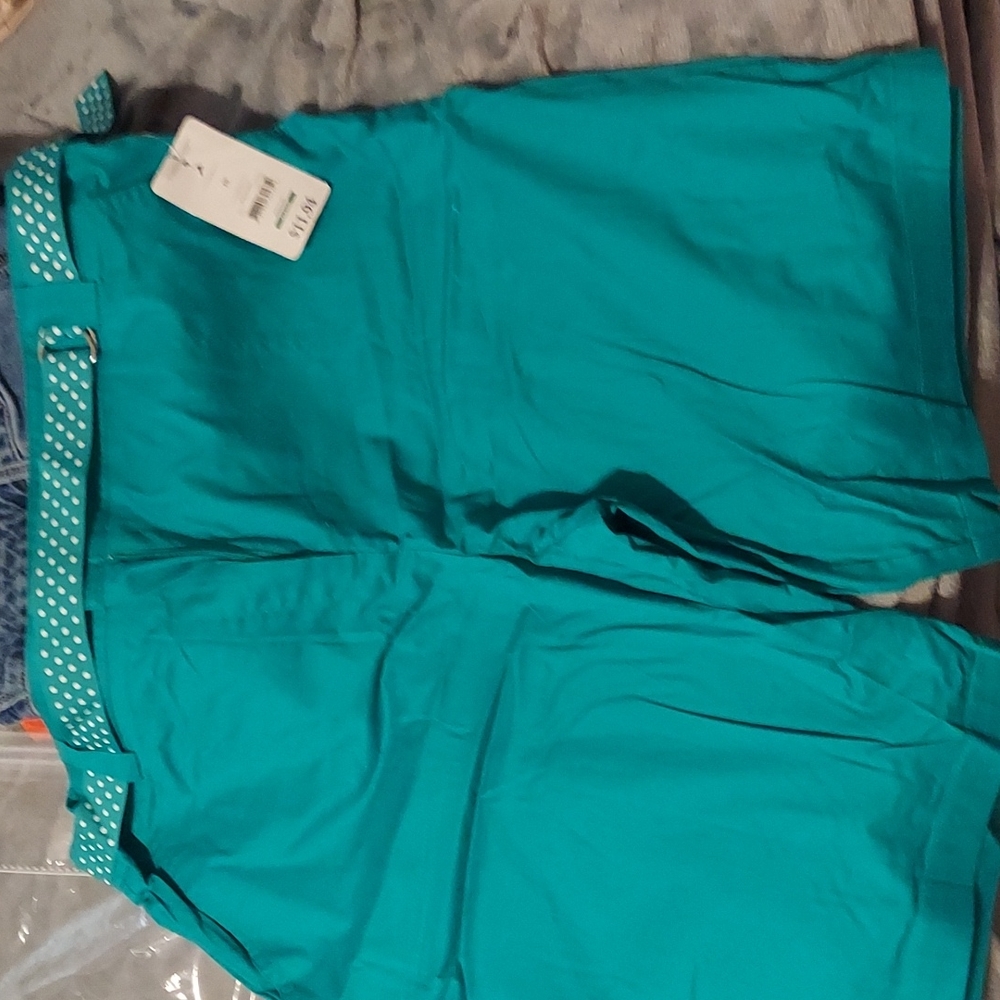 Teal shorts